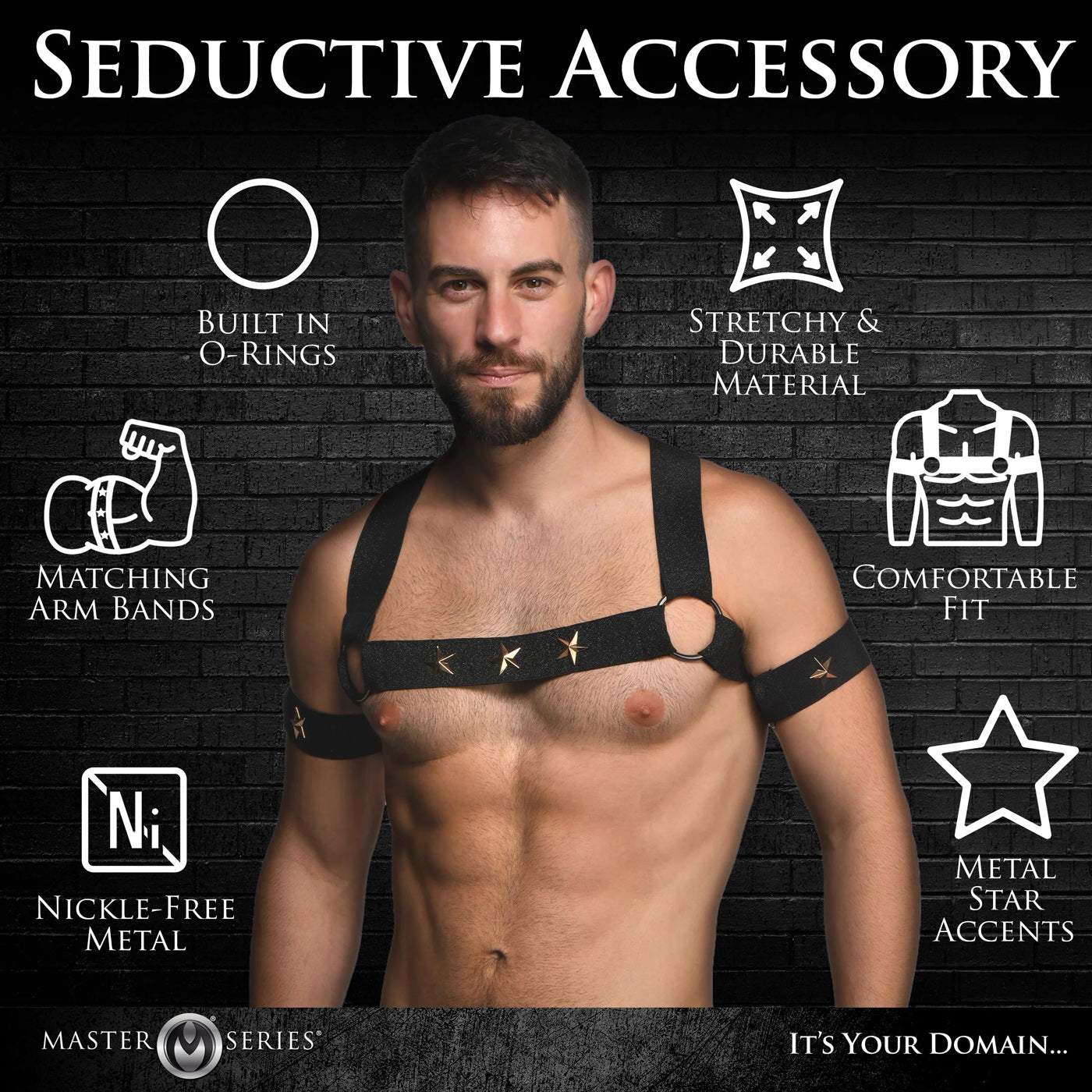 Star Boy Male Chest Harness in Black with Arm Bands featuring nickel-free star accents and O-Rings.