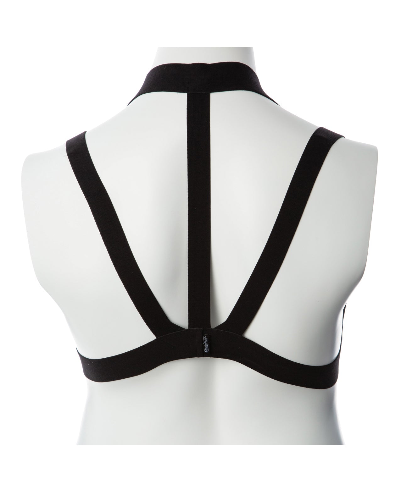 Gender Fluid Majesty Harness - Small-Large - Black by Apparel