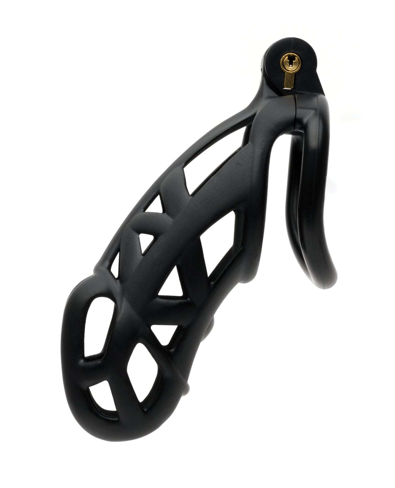 Sport Fucker Cellmate FlexiSpike and Guardian male chastity cage in black resin with locking mechanism