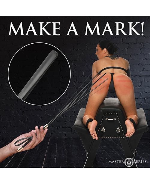Master Series Sinful Impact Cane black and gold with ergonomic handle used in BDSM scene for impact play