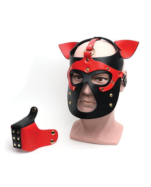 Black and red 665 Bondage Pup Hood with alloy hardware and matching muzzle for puppy play fetish.