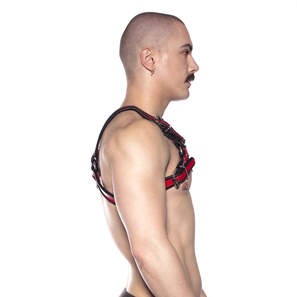 Prowler RED Bull Harness — view 2
