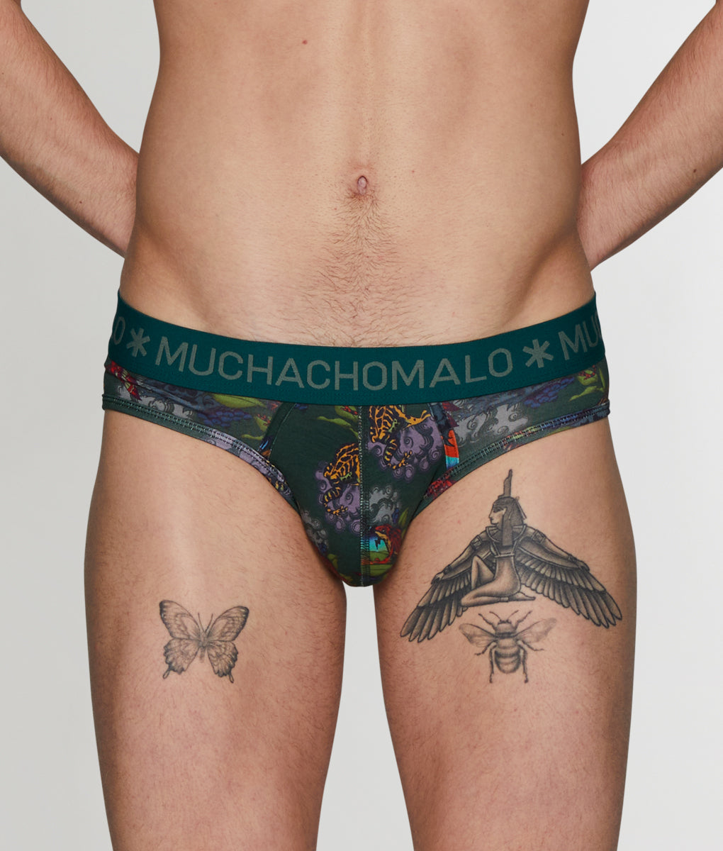 Muchachomalo Frogger Brief