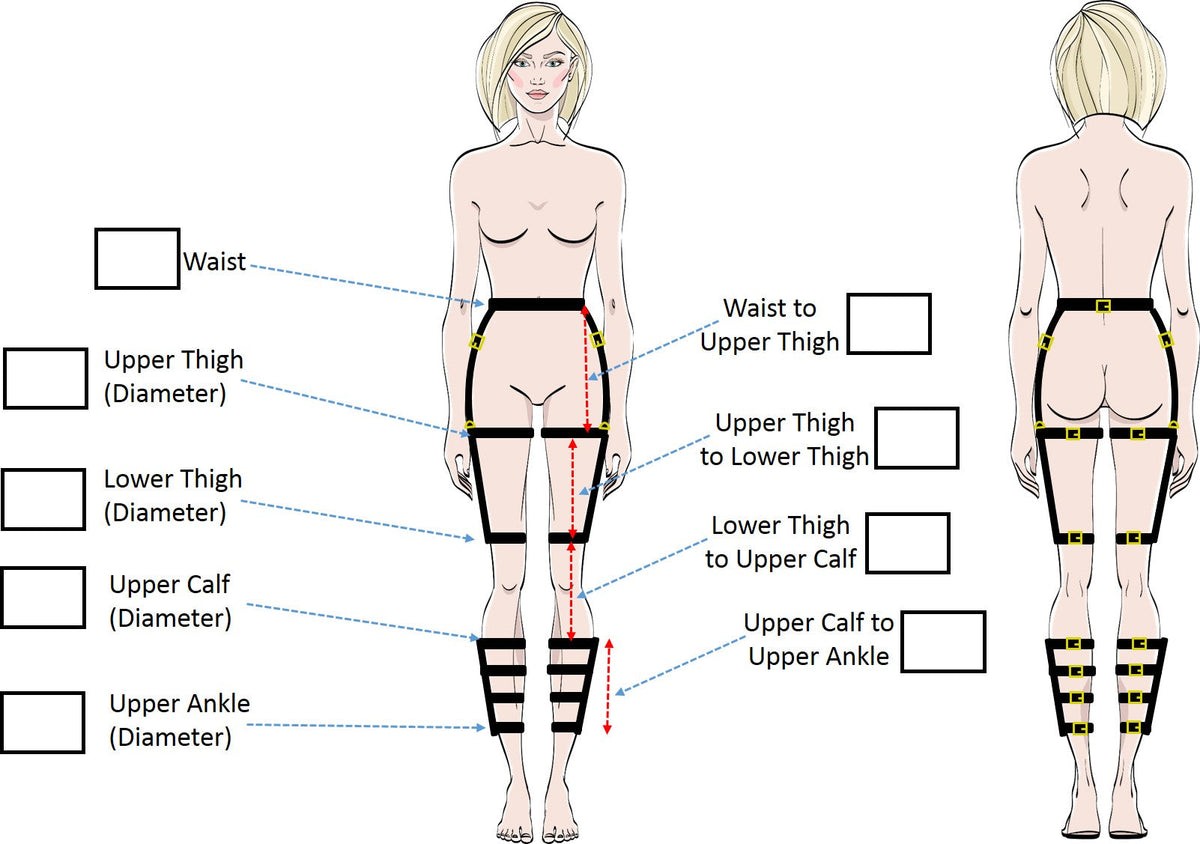 Upper and Lower leg harness with belt