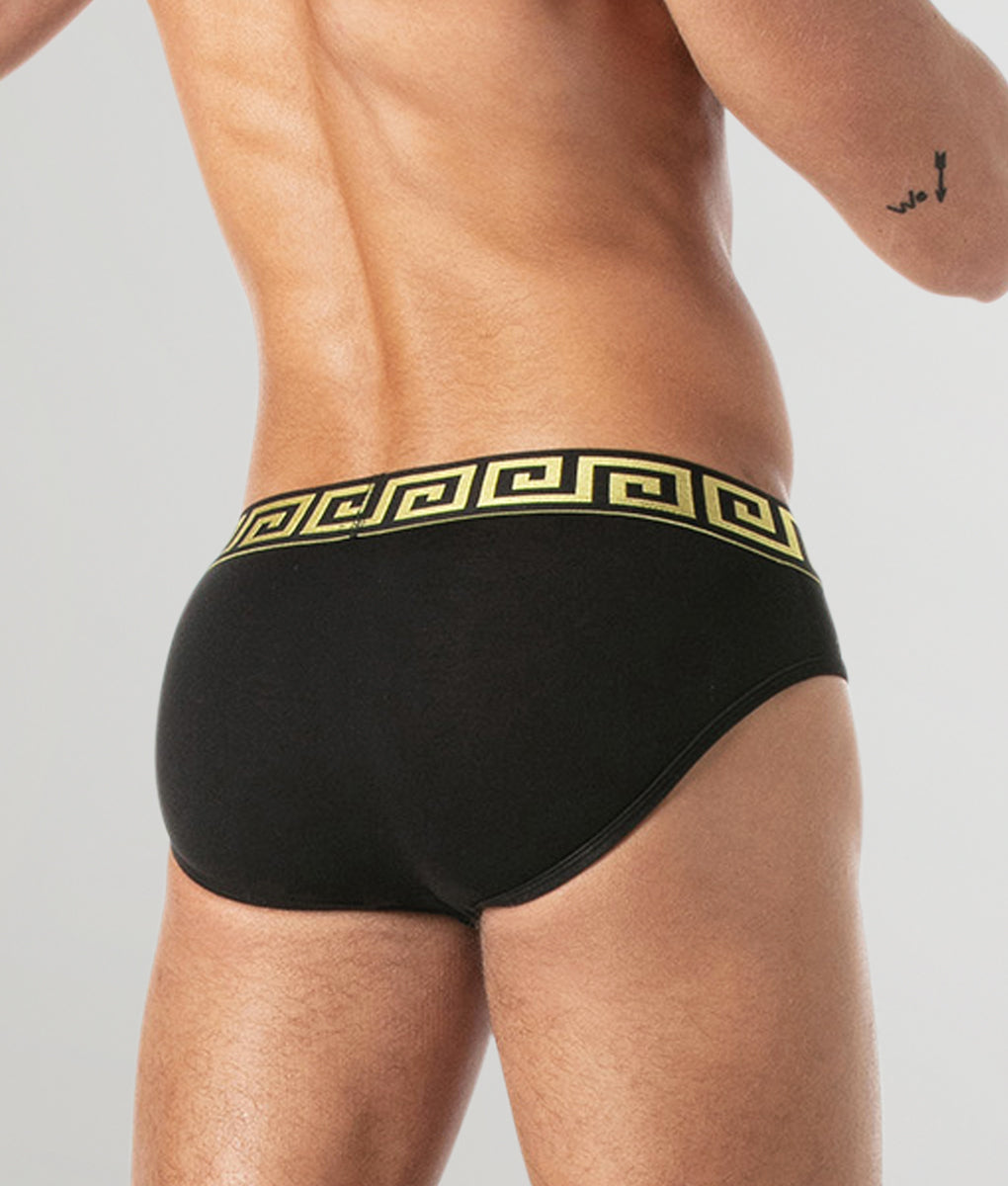 Leader Invictus Brief