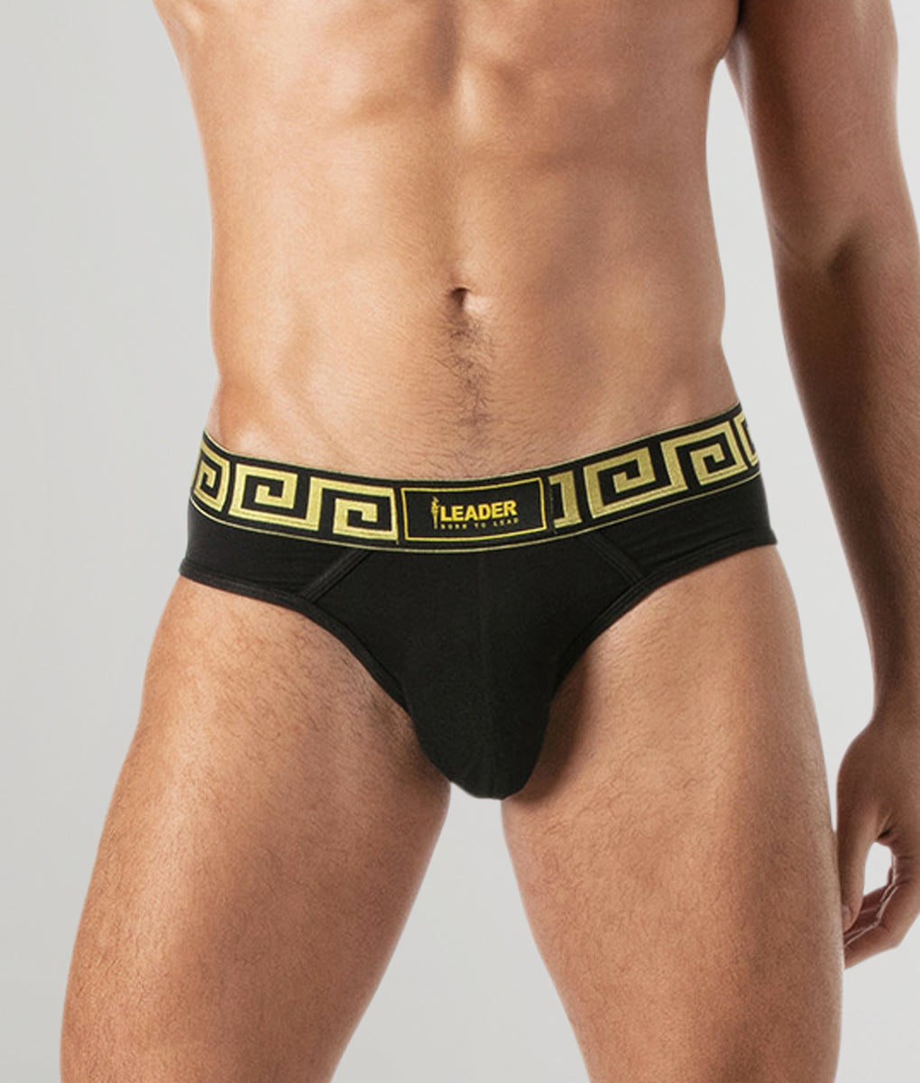 Leader Invictus Brief