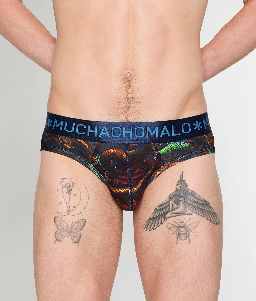 Muchachomalo Dragon Brief
