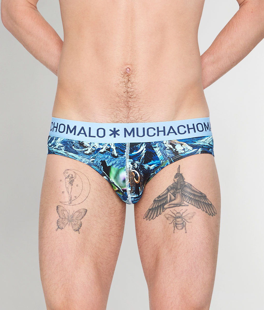 Muchachomalo Pre History Brief