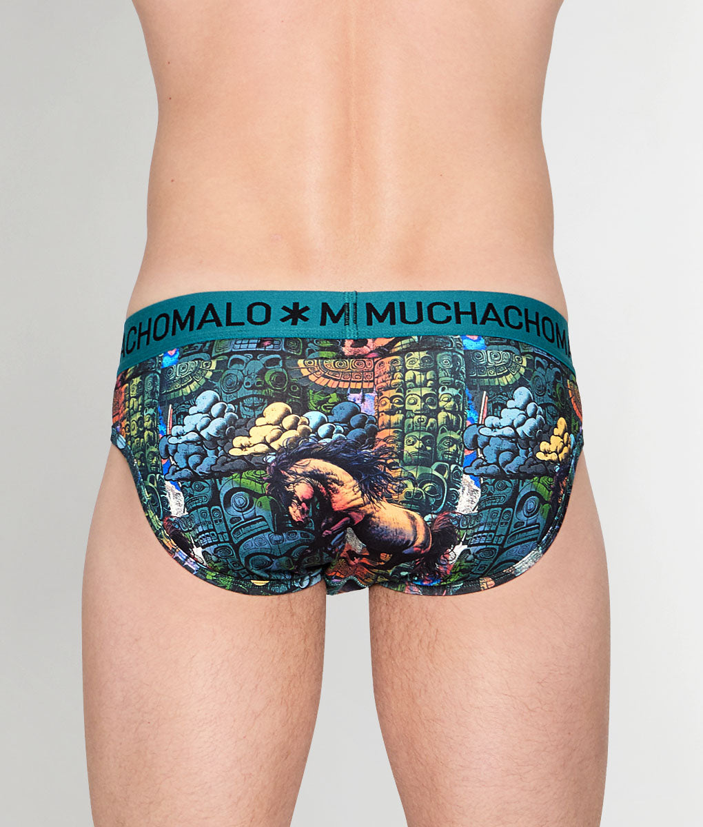 Muchachomalo Totem Horse Brief