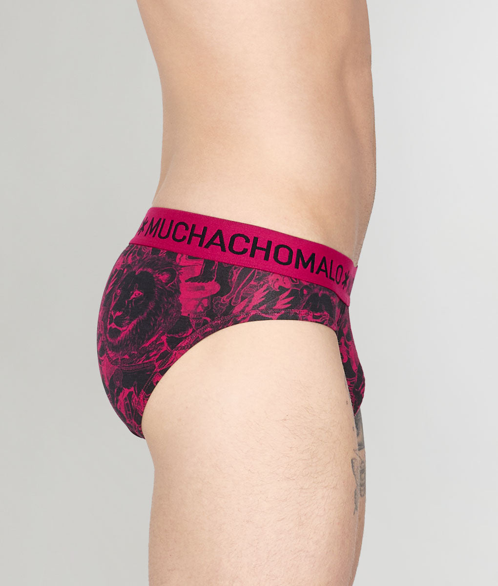 Muchachomalo Kingkat Brief