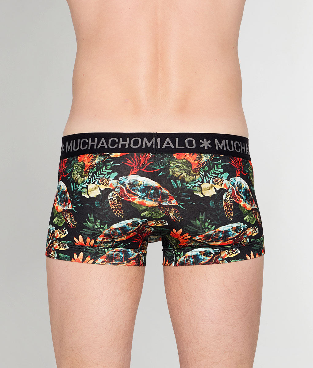 Muchachomalo Turtle Trunk
