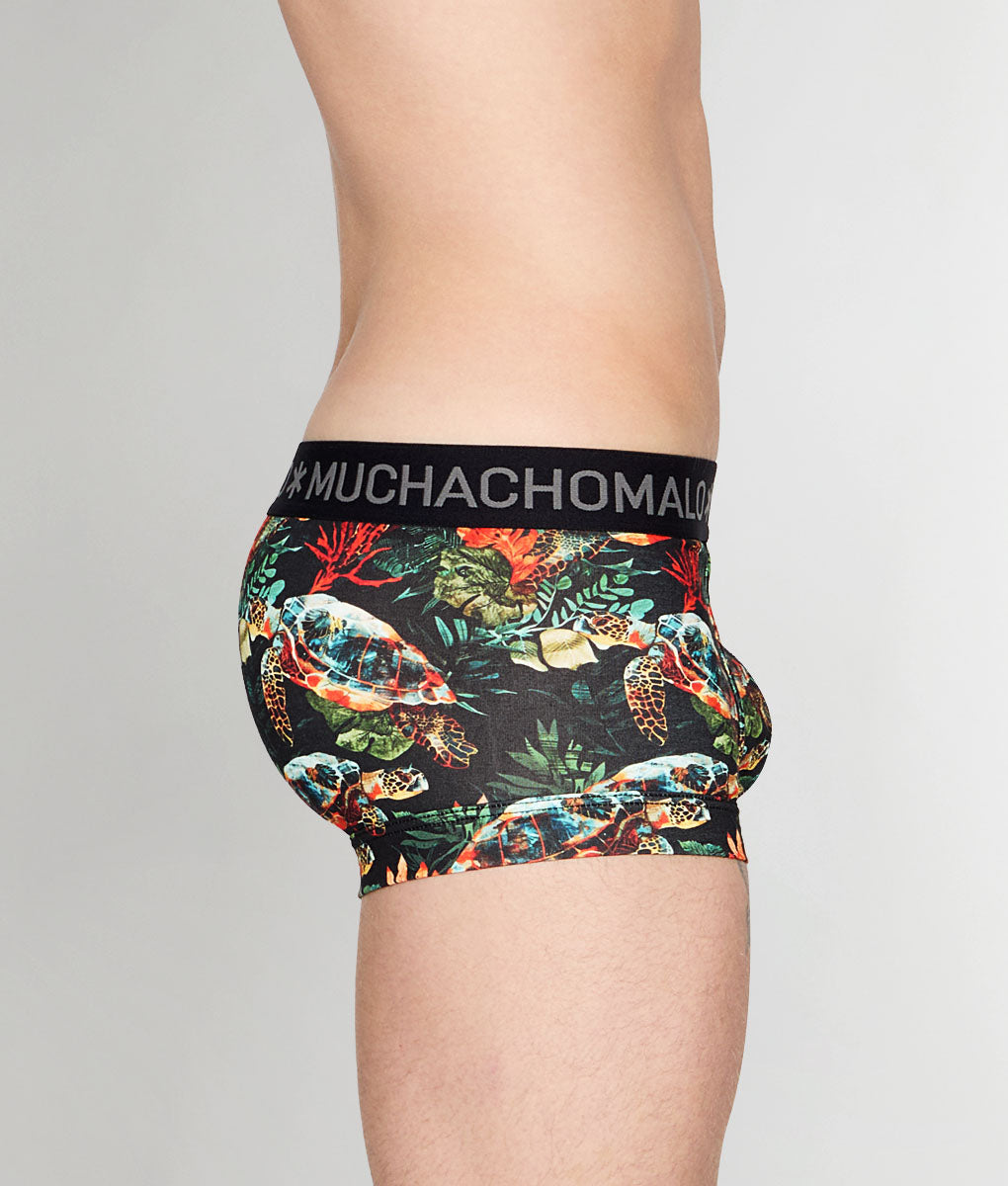 Muchachomalo Turtle Trunk